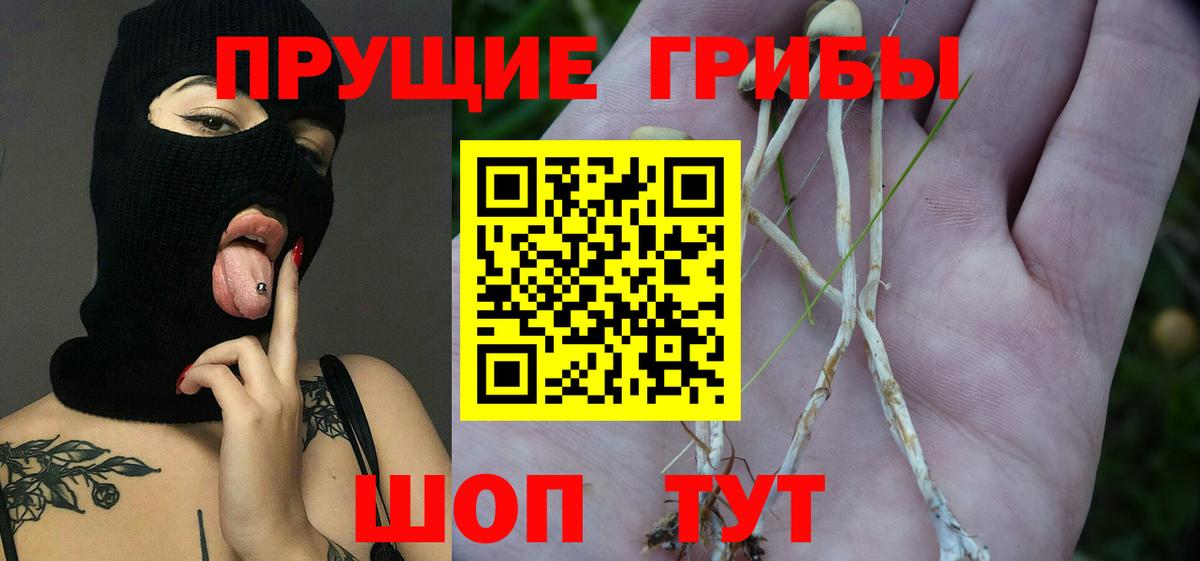 Псилоцибиновые грибы Psilocybe  Псилоцибиновые грибы MAGIC MUSHROOMS  Майкоп  Вход с VPN 